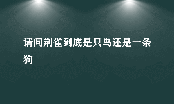 请问荆雀到底是只鸟还是一条狗