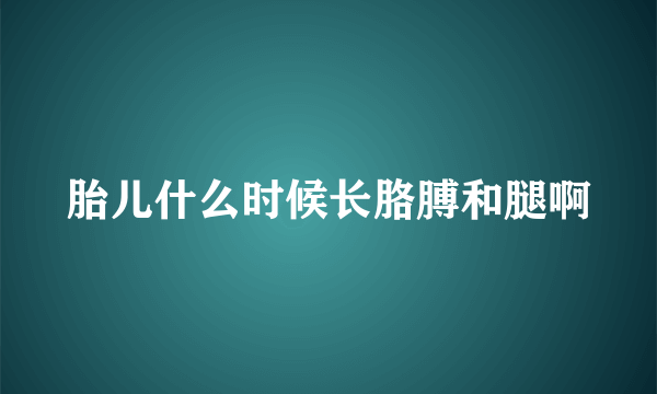 胎儿什么时候长胳膊和腿啊