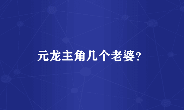 元龙主角几个老婆？