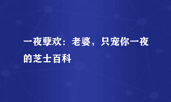 一夜孽欢：老婆，只宠你一夜的芝士百科