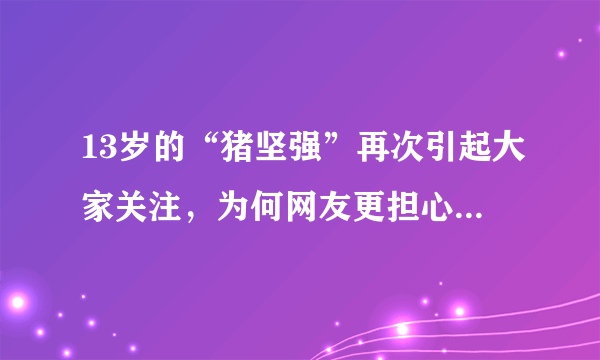 13岁的“猪坚强”再次引起大家关注，为何网友更担心肉价问题？