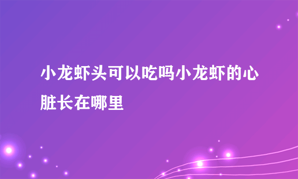 小龙虾头可以吃吗小龙虾的心脏长在哪里