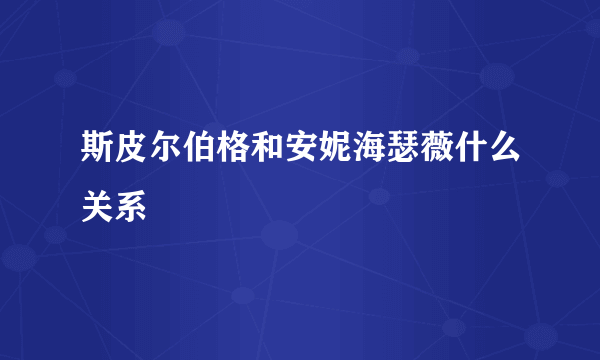 斯皮尔伯格和安妮海瑟薇什么关系