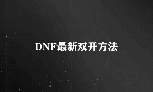 DNF最新双开方法