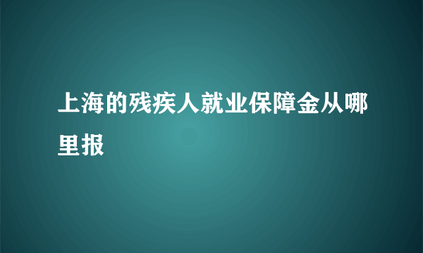 上海的残疾人就业保障金从哪里报