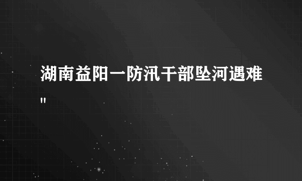 湖南益阳一防汛干部坠河遇难