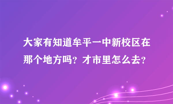 大家有知道牟平一中新校区在那个地方吗？才市里怎么去？