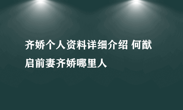 齐娇个人资料详细介绍 何猷启前妻齐娇哪里人