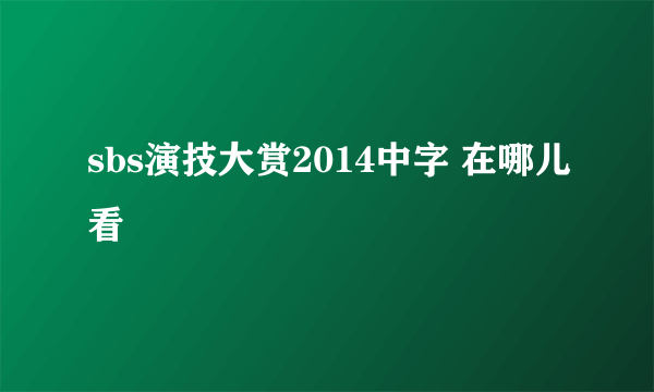 sbs演技大赏2014中字 在哪儿看