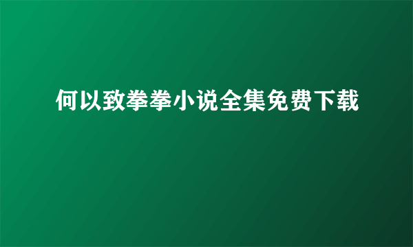 何以致拳拳小说全集免费下载