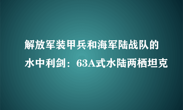 解放军装甲兵和海军陆战队的水中利剑：63A式水陆两栖坦克