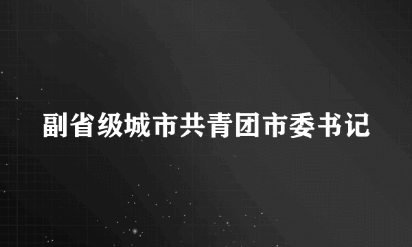 副省级城市共青团市委书记