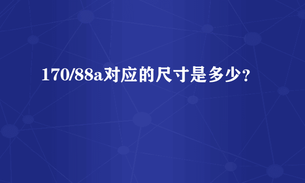 170/88a对应的尺寸是多少？