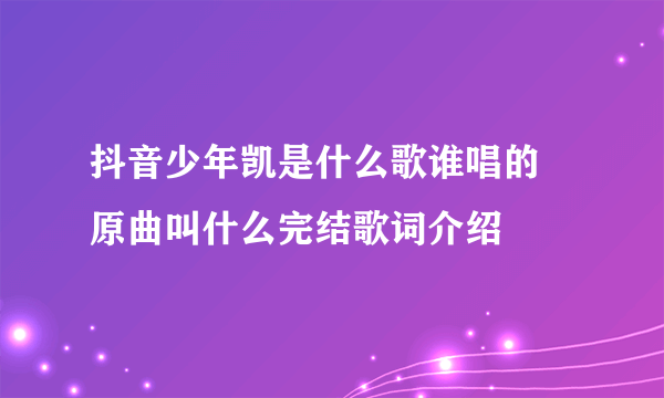 抖音少年凯是什么歌谁唱的 原曲叫什么完结歌词介绍