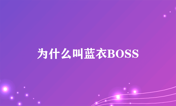 为什么叫蓝衣BOSS