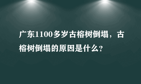 广东1100多岁古榕树倒塌，古榕树倒塌的原因是什么？