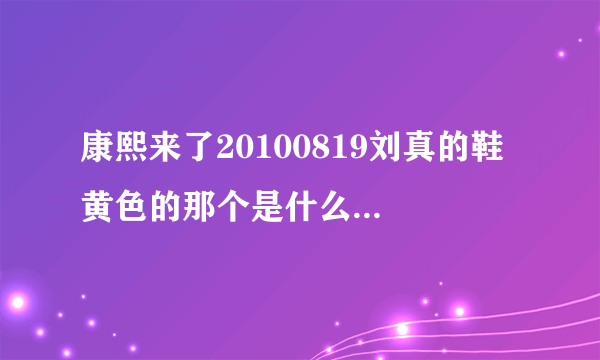 康熙来了20100819刘真的鞋 黄色的那个是什么牌子 哪里可以买到