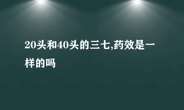 20头和40头的三七,药效是一样的吗