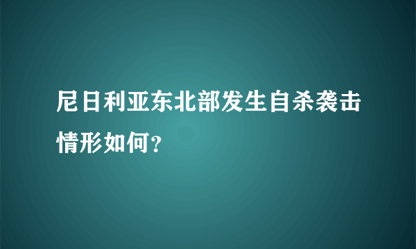 尼日利亚东北部发生自杀袭击情形如何？