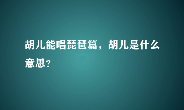 胡儿能唱琵琶篇，胡儿是什么意思？