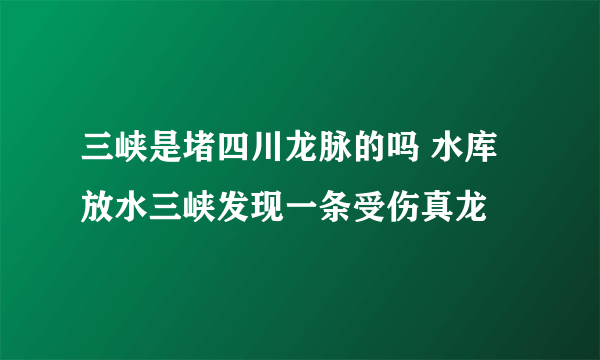 三峡是堵四川龙脉的吗 水库放水三峡发现一条受伤真龙