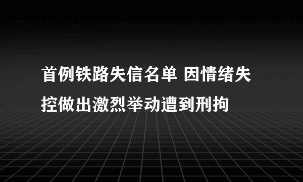 首例铁路失信名单 因情绪失控做出激烈举动遭到刑拘