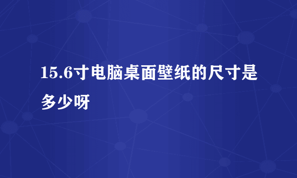 15.6寸电脑桌面壁纸的尺寸是多少呀