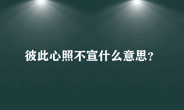 彼此心照不宣什么意思？