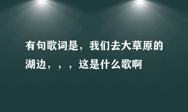 有句歌词是，我们去大草原的湖边，，，这是什么歌啊