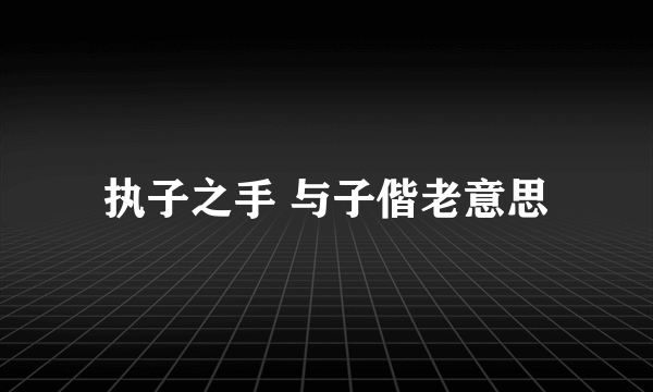 执子之手 与子偕老意思