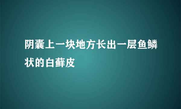 阴囊上一块地方长出一层鱼鳞状的白藓皮