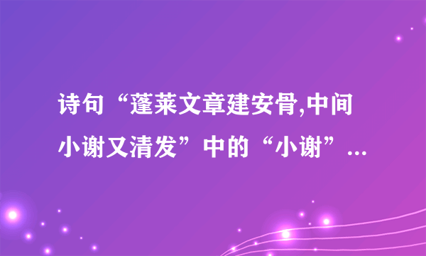 诗句“蓬莱文章建安骨,中间小谢又清发”中的“小谢”是指____。