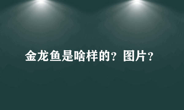 金龙鱼是啥样的？图片？