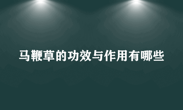 马鞭草的功效与作用有哪些