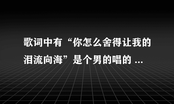 歌词中有“你怎么舍得让我的泪流向海”是个男的唱的 歌名是什么