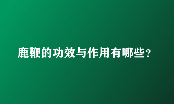 鹿鞭的功效与作用有哪些？