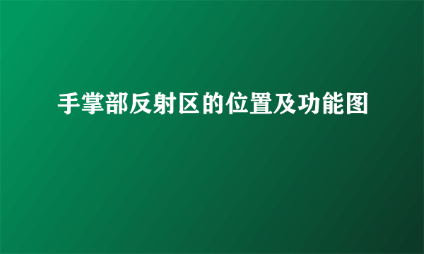 手掌部反射区的位置及功能图