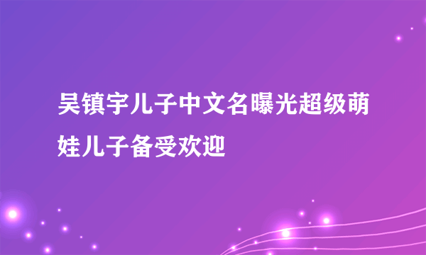 吴镇宇儿子中文名曝光超级萌娃儿子备受欢迎