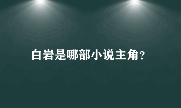 白岩是哪部小说主角？