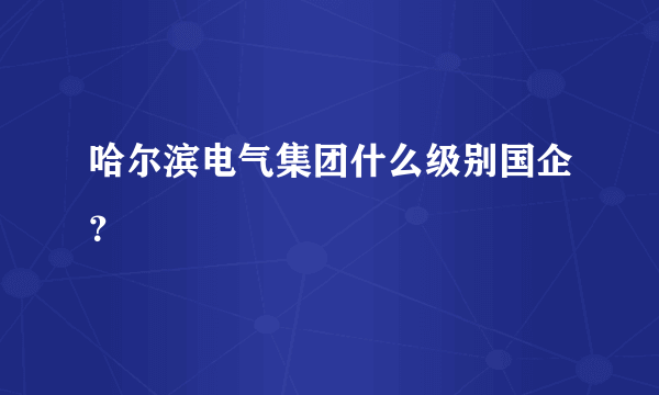 哈尔滨电气集团什么级别国企？