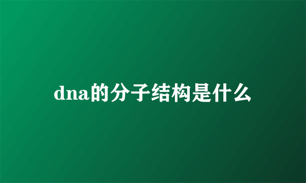 dna的分子结构是什么