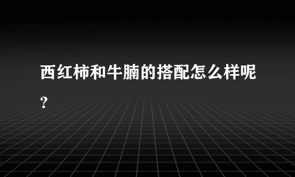 西红柿和牛腩的搭配怎么样呢？