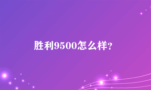 胜利9500怎么样？