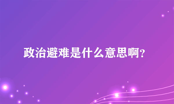 政治避难是什么意思啊？