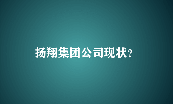 扬翔集团公司现状？