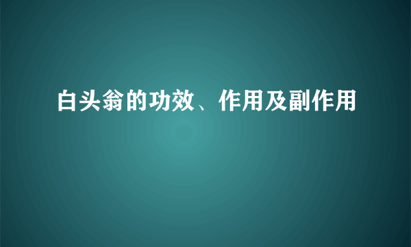 白头翁的功效、作用及副作用