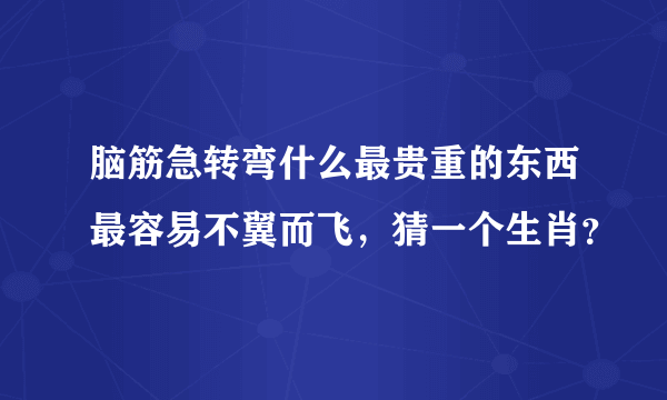 脑筋急转弯什么最贵重的东西最容易不翼而飞，猜一个生肖？