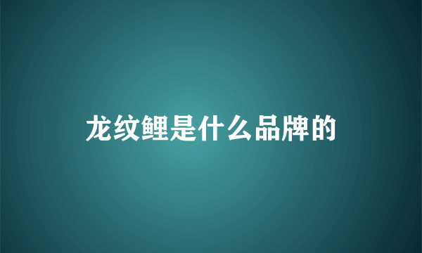 龙纹鲤是什么品牌的