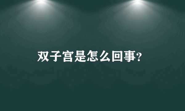 双子宫是怎么回事？