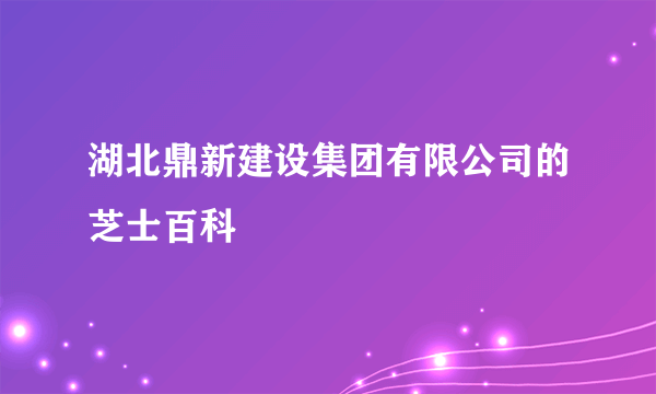 湖北鼎新建设集团有限公司的芝士百科